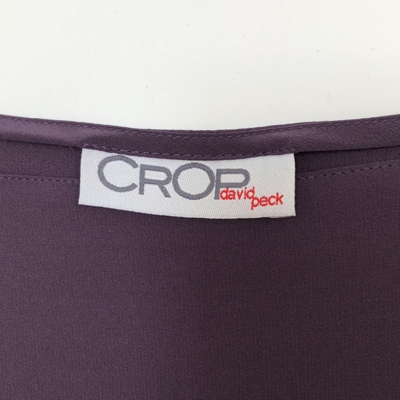 NWT - David Peck 100% silk dress - size L - Picture 9 of 12